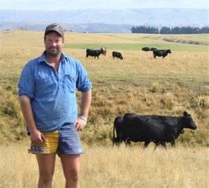 James Lindsay needs a tough yet productive beef herd in this East Otago hill country with progeny that will finish well on their Southland farm James Lindsay needs a tough yet productive beef herd in this East Otago hill country with progeny that will finish well on their Southland farm