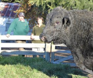 Martin and Janene Parsons focus on the traits that pay dividends on hill country Martin and Janene Parsons focus on the traits that pay dividends on hill country